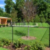 Large fenced in dog park 
