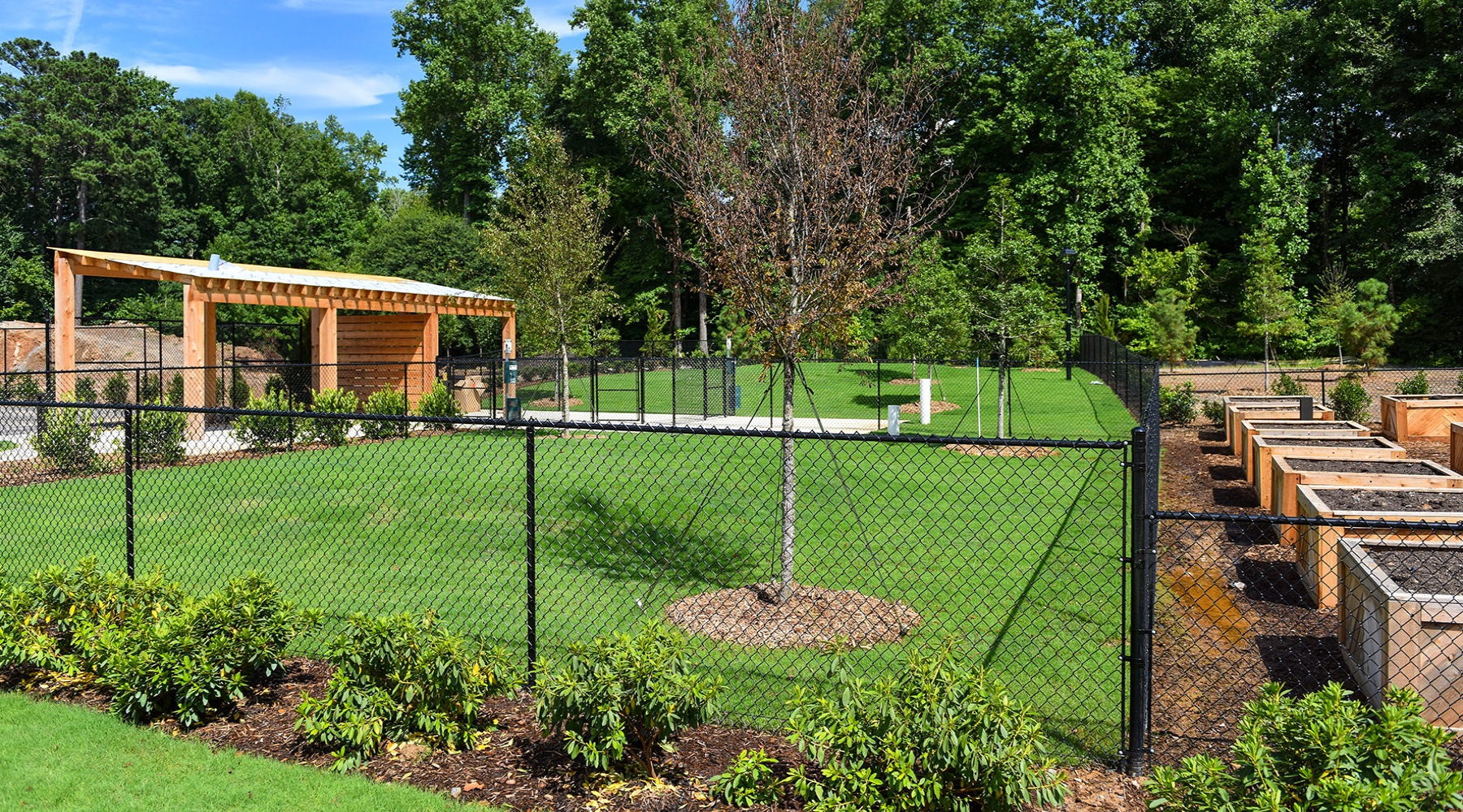 Dog Park Large fenced in dog park